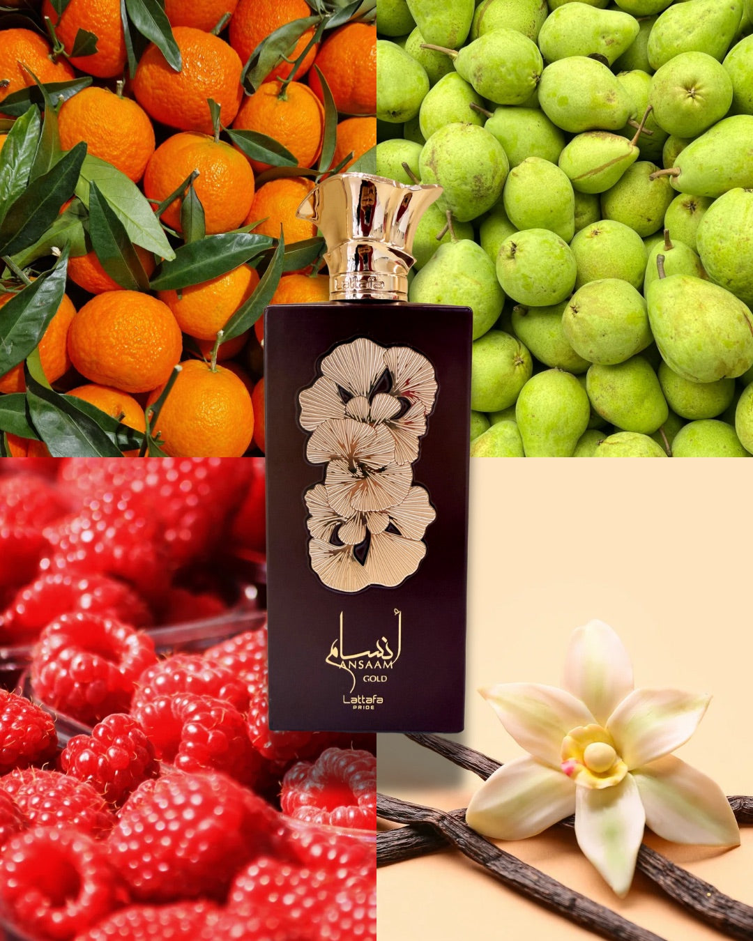 Ansaam Gold Lattafa | Perfume Árabe Femenino Floral Frutal con Rosa | EDP 100ml