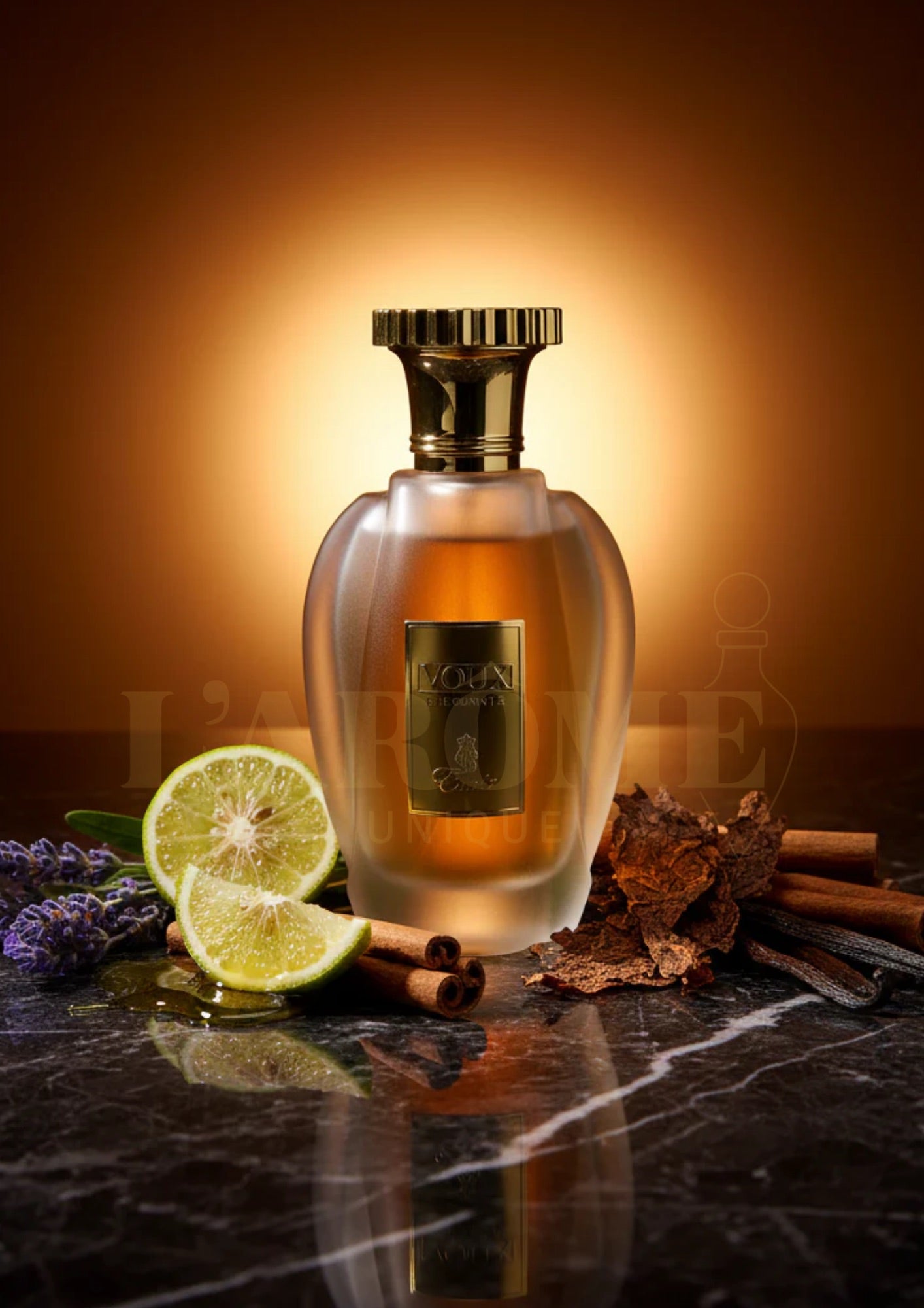 Voux Elegante | Perfume Unisex Aromático Especiado con Lavanda y Tabaco