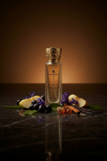 Casablanca Hair Perfume Editorial